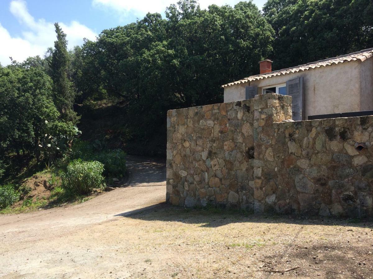 Vue Lumio (Corsica)
